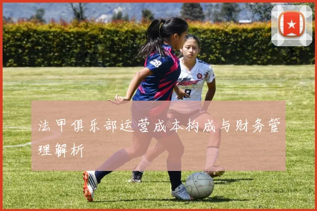 法甲俱乐部运营成本构成与财务管理解析