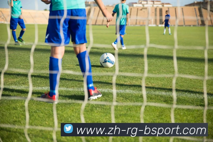 必一体育发展历程